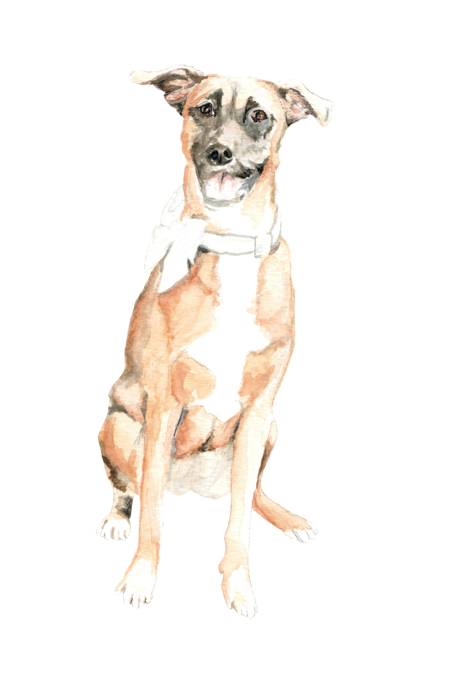 custom watercolor illustration of a boxer mix dog named Millie with a bow around her neck.