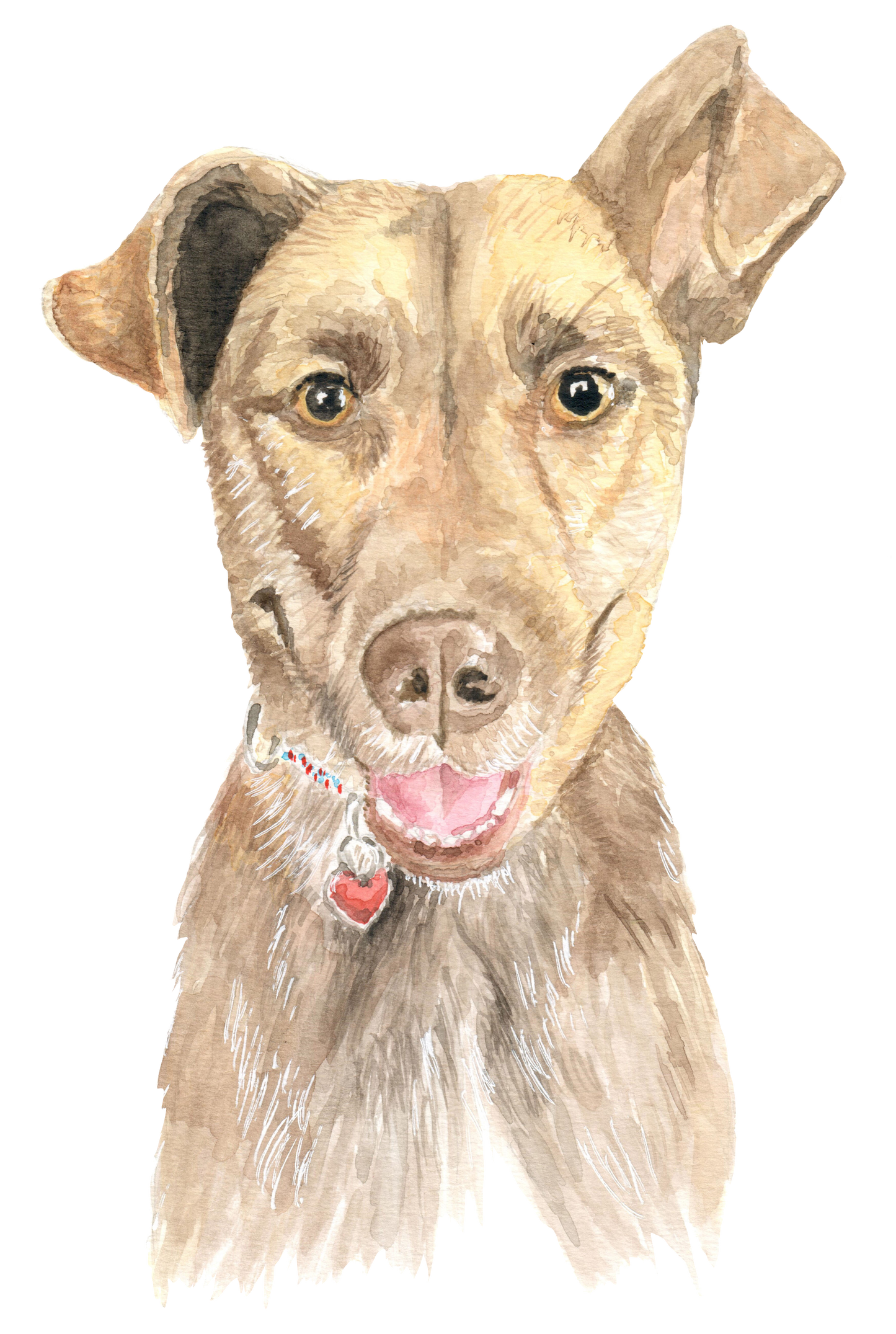 custom watercolor illustration of a sweet dog named Otis