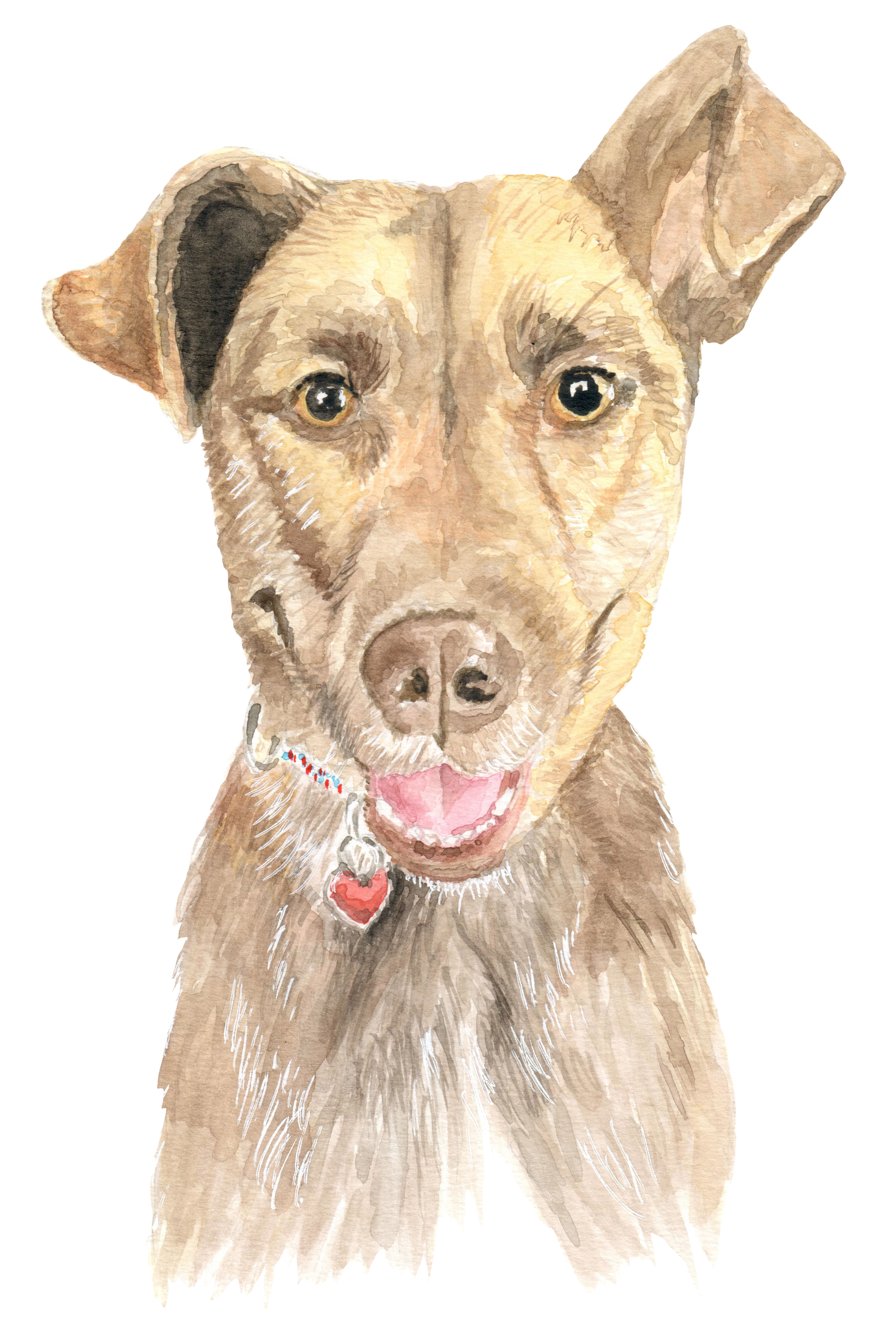 custom watercolor illustration of a sweet dog named Otis