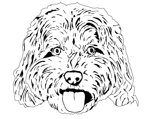 Black and white line drawing of a dog's face