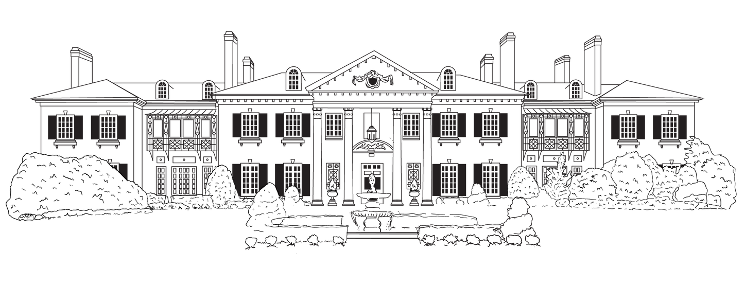 Custom Illustration - Sketch Drawing