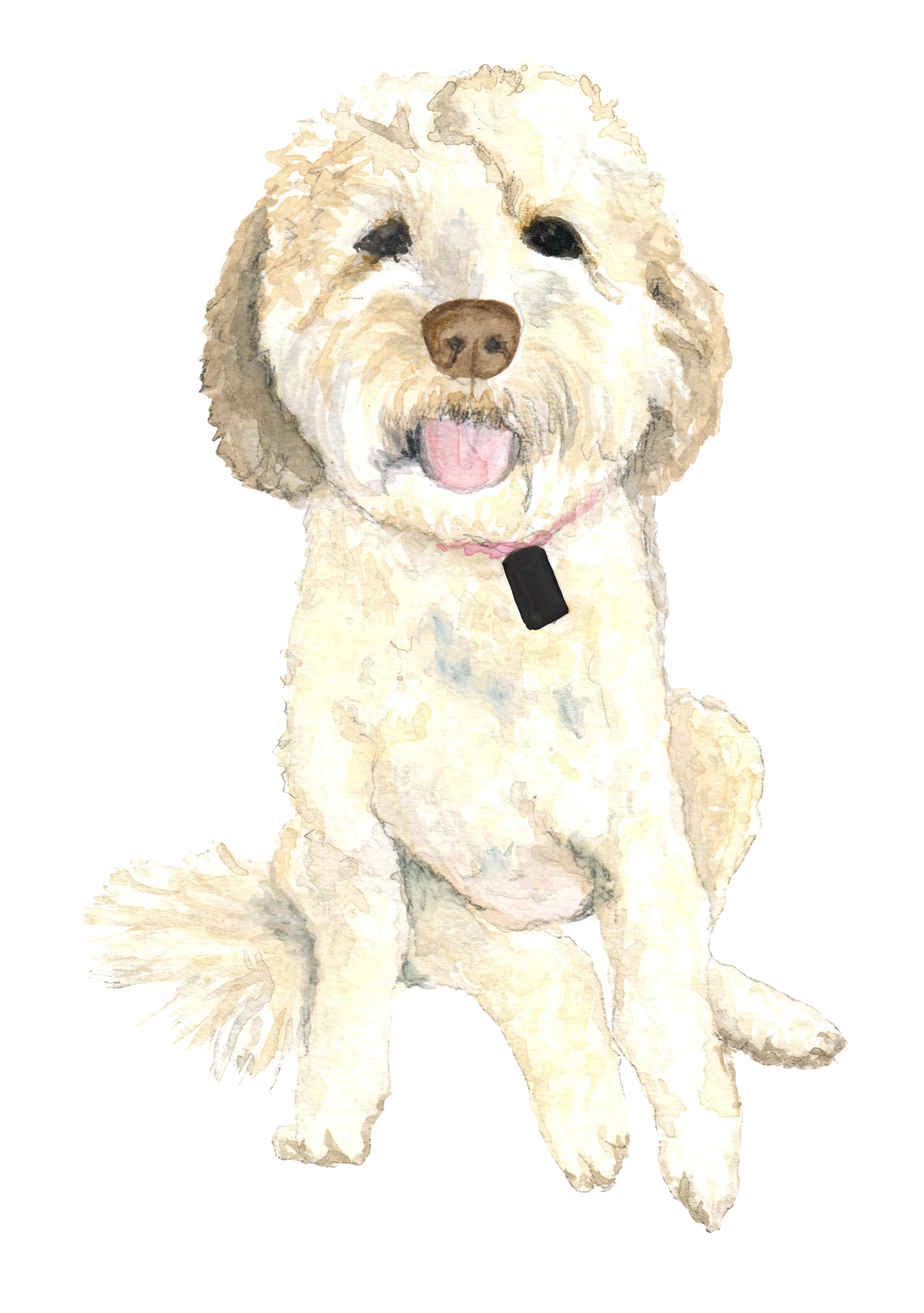 custom pet watercolor artwork - Stella the golden doodle