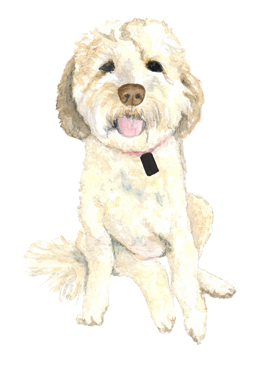 custom pet watercolor artwork - Stella the golden doodle